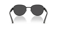 RB3766 Polarized+ Lenses