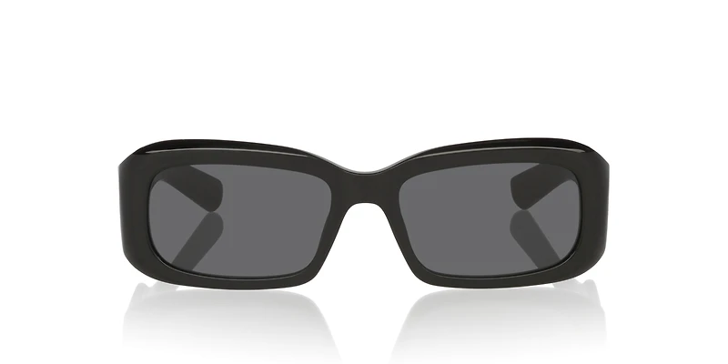 SL 809