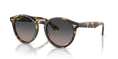 Larry Polarized+ Lenses