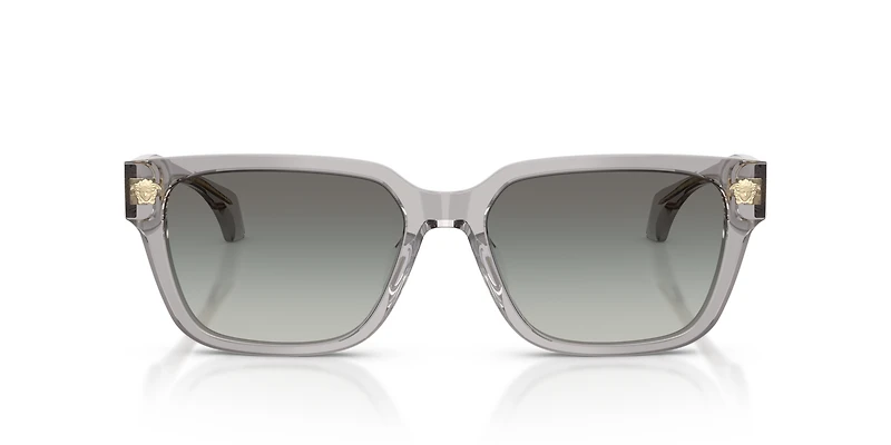 VE4513D