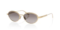 Diorcannage CD40209U
