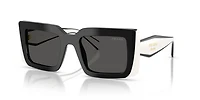 PR D01S