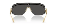 DG2320