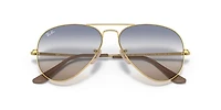 RB3689 Bi-Gradient
