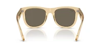 Wayfarer Reverse