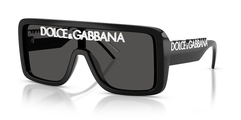 DG6204