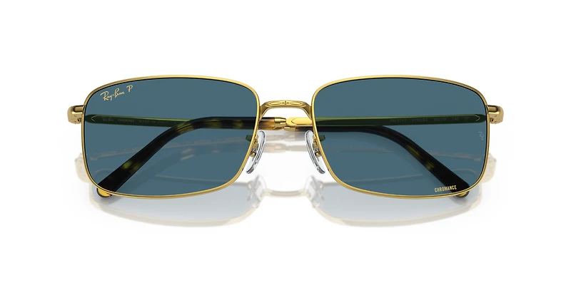 RB3717 Polarized+ Lenses