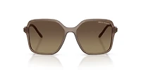 AX4163S