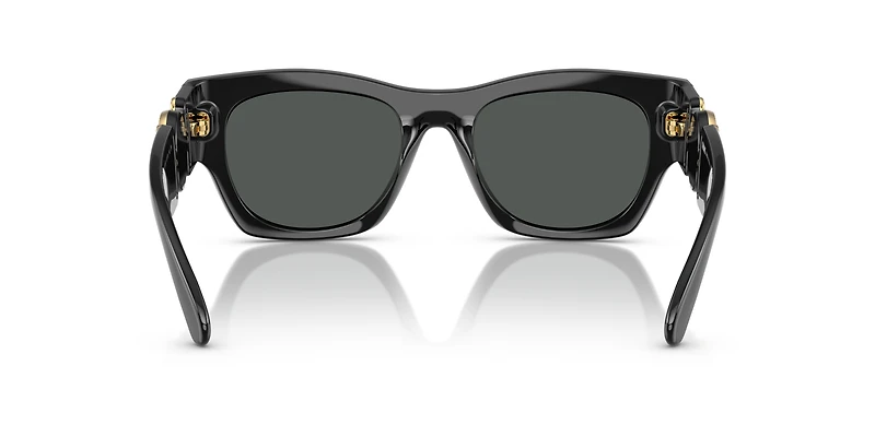 VE4479U