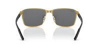RB3721 Polarized+ Lenses