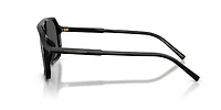 DG4541