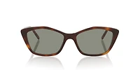 SL 775