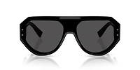 DG4481F