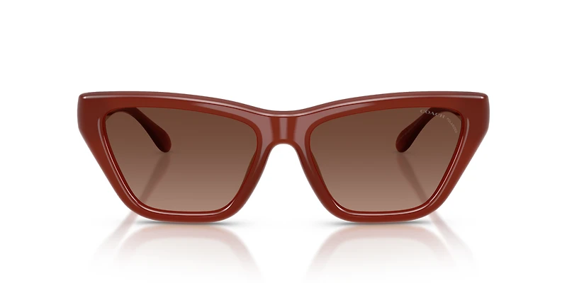 CDP33