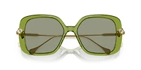 SK6011