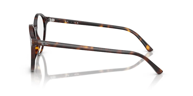 RB2230 Transitions®