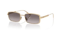 Diorcannage CD40210U