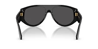 DG4499