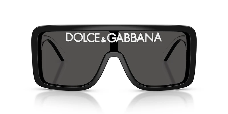 DG6204