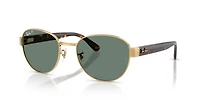 RB3766 Polarized+ Lenses