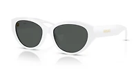 VE4495D