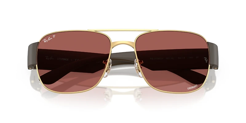 RB3756 Polarized+ Lenses