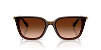 SK6054D