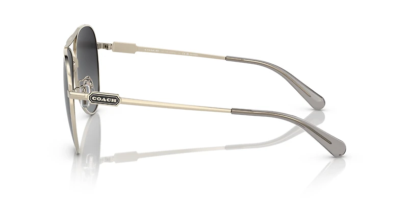 HC7140 CD474