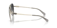 HC7140 CD474