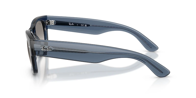 Mega Wayfarer II