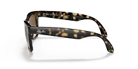 Wayfarer Folding Classic