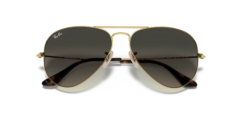 Aviator Havana Collection