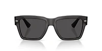 DG4431