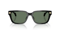 VE4513D