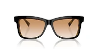 BC4009S