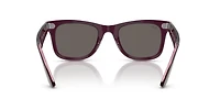 Original Wayfarer Classic