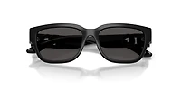 DX6009