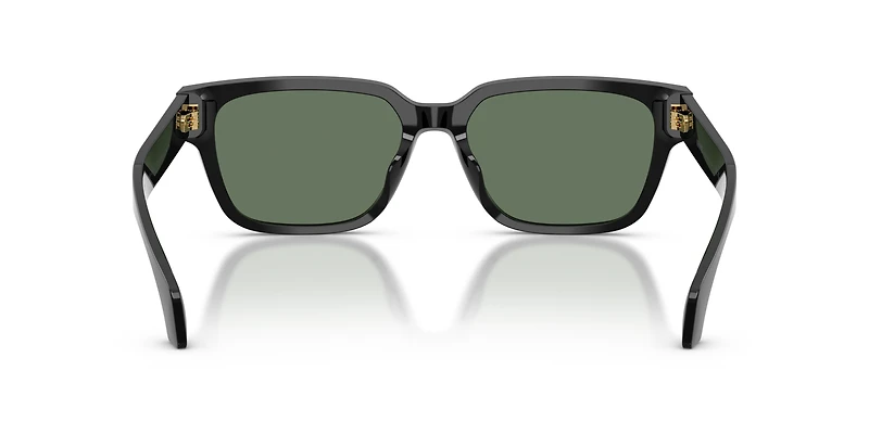 VE4513D