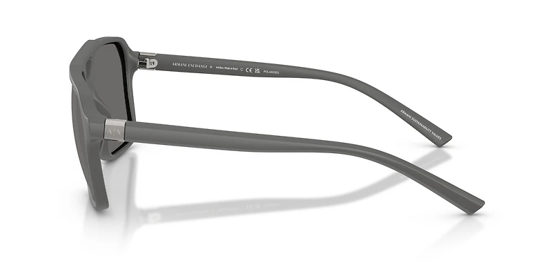 AX4166SU