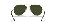 Aviator Havana Collection