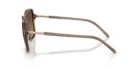 AX4163S
