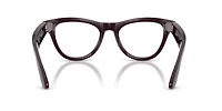 Ray-Ban Meta Skyler
