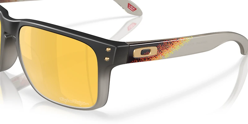Holbrook™ Troy Lee Designs Series