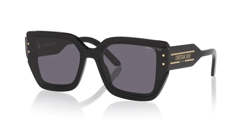 Diorsignature S14I