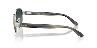 RB3766 Polarized+ Lenses