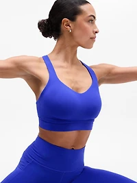 Perfect Form Sports Bra D-DD