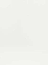 Endless High Rise Cargo Pant