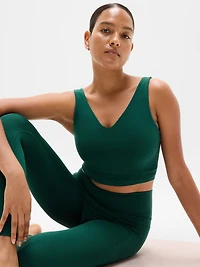 Transcend V-Neck Crop Sports Bra D-DD