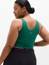 Transcend V-Neck Crop Sports Bra D-DD