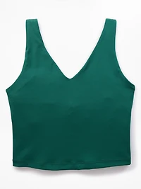 Transcend V-Neck Crop Sports Bra D-DD